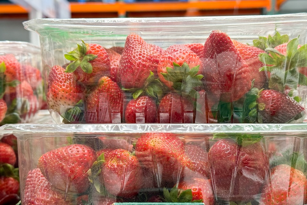 strawberries packed in plastic clear containers
