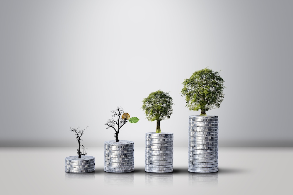 coins stacked with trees growing out of the top