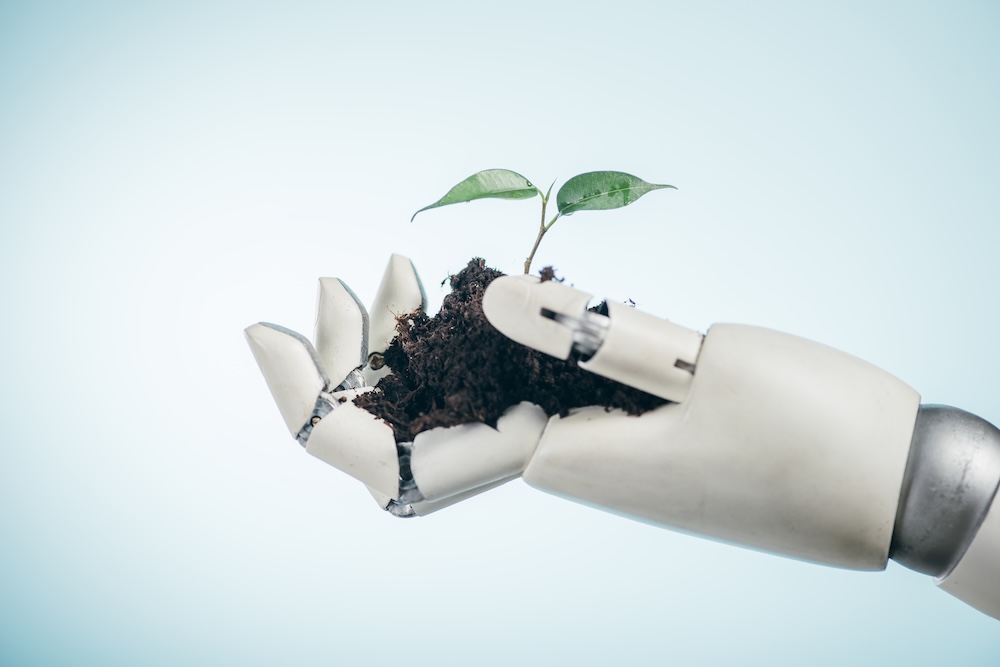 Artificial intelligent hand with soil and a seedling