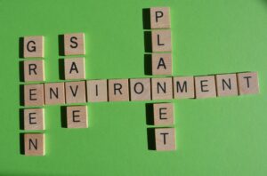 environmentally friendly words spelled out on wooden squares