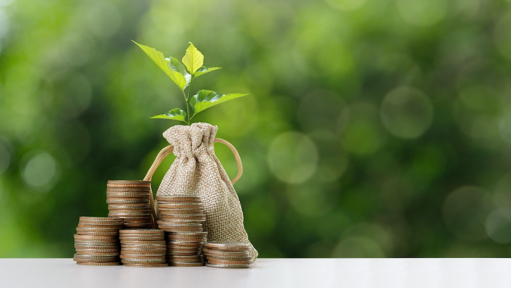 bag of money with plant growing out with coins and a nature background
