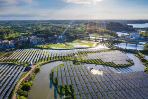 Solar power plant with panels in rows