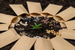 sow different seeds for gardening