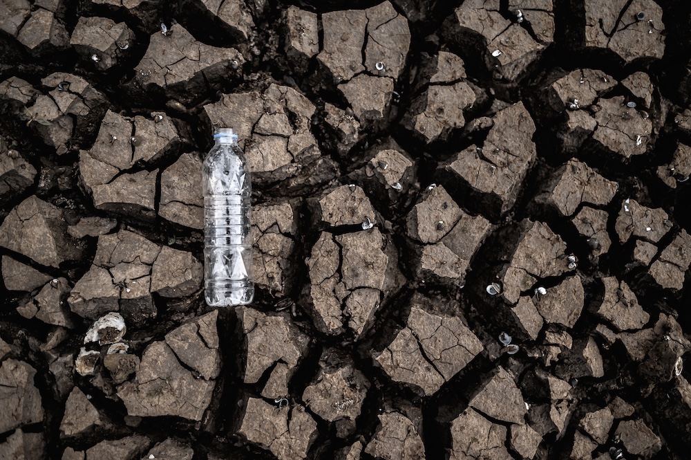empty plastic water bottle laying on dry cracked drought impacted soil