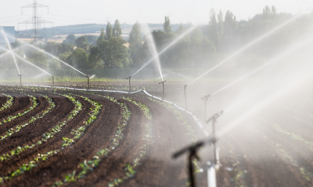 irrigation system water crops