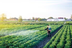 Farmer misting pesticide on crops