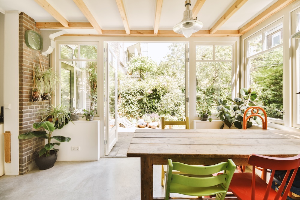 Simple modern kitchen with plants