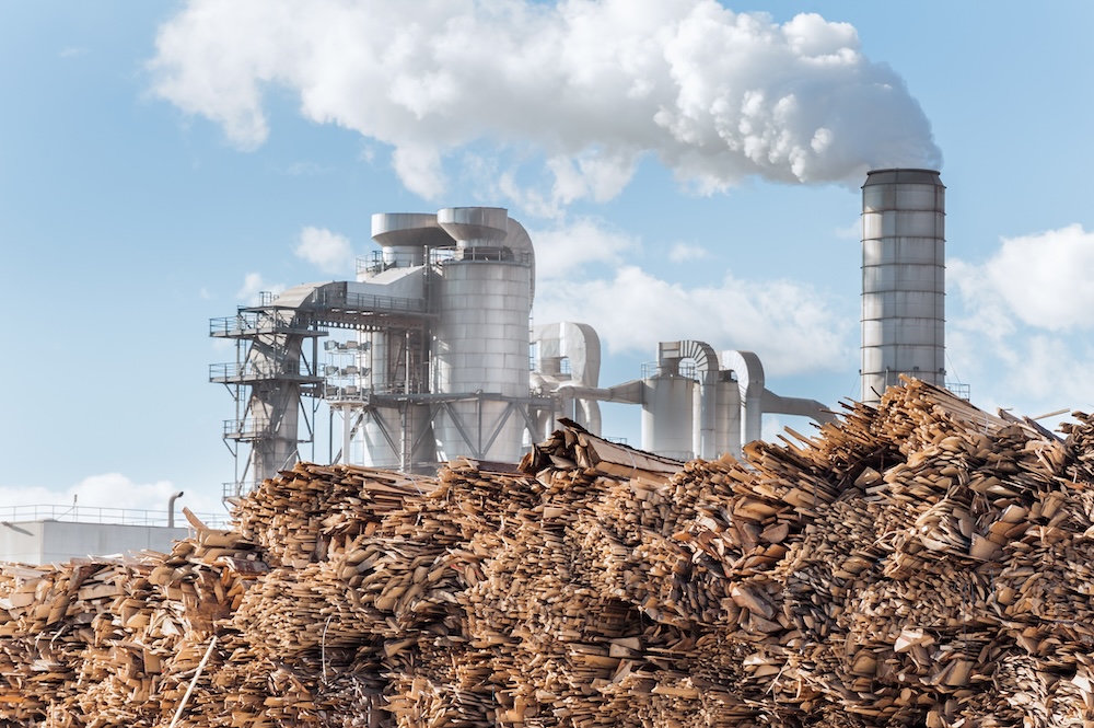 Log and wood piles in front of an industrial factory