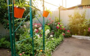 Growing edible and flower garden at home