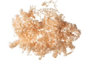 Wood shavings and curls on a white background