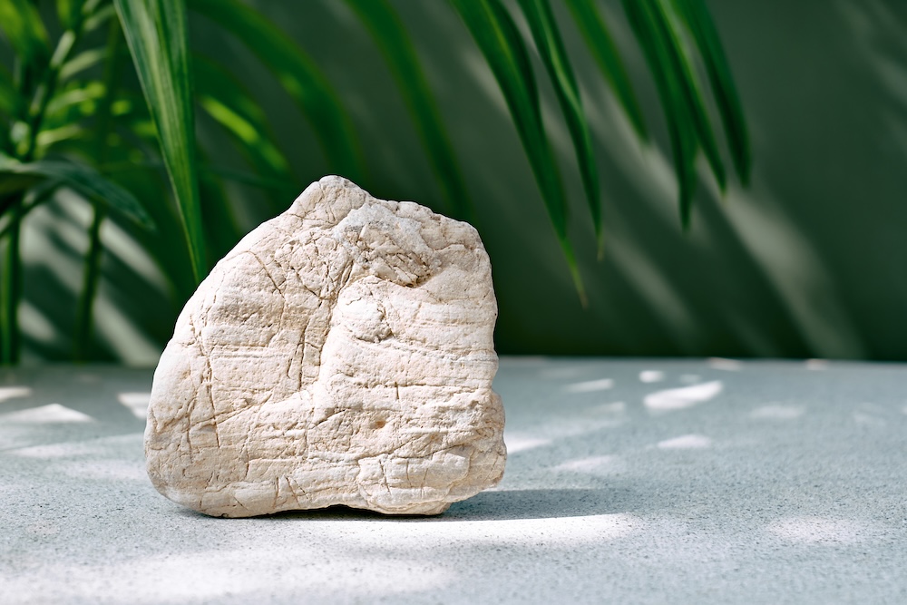 Limestone rock sitting on display with plants in the background